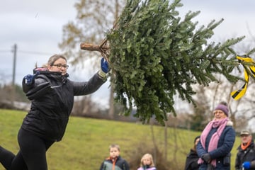 Dresden: Besonderer Wettbewerb in Großsedlitz: Weitwurf mit Weihnachtsbäumen