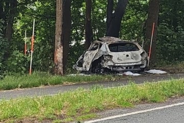 Auto kracht gegen Bäume und geht in Flammen auf! Fahrer stirbt noch am Unfallort