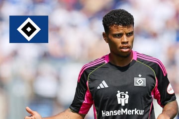 HSV-Profi sorgt nach Zittersieg mit kurioser Aussage für Irritationen