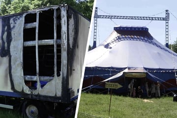 War es Brandstiftung? Kölner Zirkus bittet nach Feuerdrama um Spenden