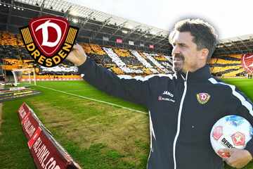 Dynamo jagt den ersten Heimsieg: In diesem Bereich will Stamm gegen Paderborn mehr sehen