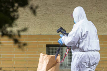 Baum-Crash entwickelt sich zu tödlichem Kriminalfall