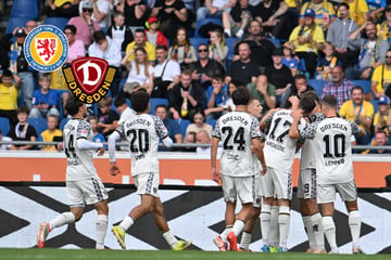 Braunschweig gegen Dynamo live: SGD zeigt Moral und punktet auswärts