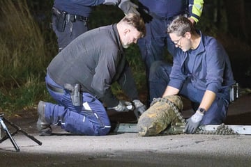 Weltkriegsbombe in Neukölln erfolgreich entschärft: Tausende dürfen in ihre Wohnungen zurück