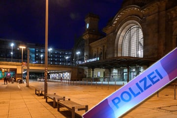 Dresden: Chaos-Nacht am Dresdner Hauptbahnhof: Bundespolizei im Dauereinsatz