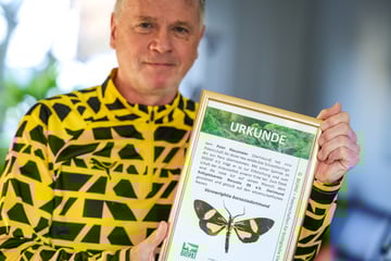 BVB international: Warum ein kleiner Falter und der Borsigplatz miteinander verbunden sind