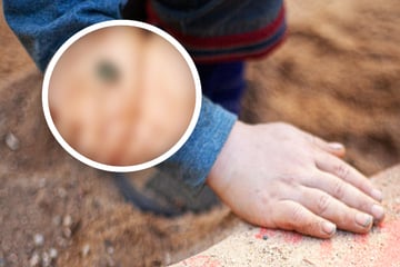 Junge buddelt auf Gelände seiner Kita: Was er ausgräbt, sorgt für Staunen