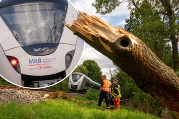 Zug mit umgestürzten Baum kollidiert: Bahnstrecke zwischen Leipzig und Chemnitz wieder frei