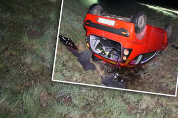 Ausweichmanöver wegen Wild: Auto überschlägt sich und landet im Graben