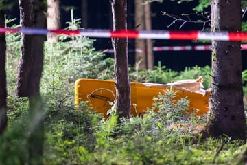 Flugzeug stürzt in norddeutschem Wald ab, Ermittler finden tote Person