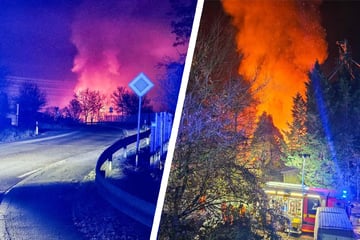 Inferno in Schreinerei: 240 Kräfte kämpfen gegen Flammen