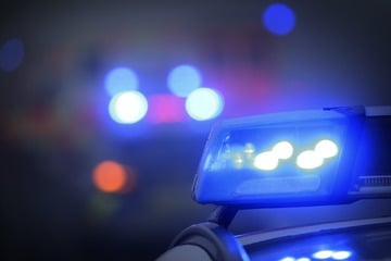 Erst Vermisstensuche, dann Monsterjagd: Kleiner Junge löst Großeinsatz aus