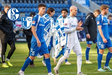 Topspiel gegen Tabellenführer: "Haben nichts zu verlieren"