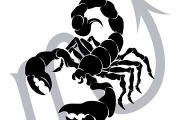 Monatshoroskop Skorpion: Dein Horoskop für Januar 2023
