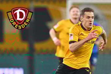 Dynamo in Paderborn live: Gleich sieben Spielern droht heute die Gelbsperre