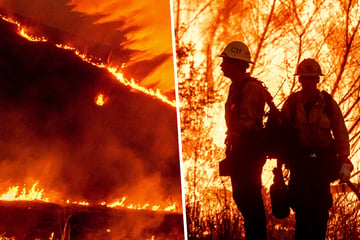 Apokalypse in Los Angeles: Neues Feuer, Plünderungen und weitere Tote!