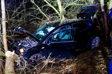 Unfall mit Folgen: Besoffener Renault-Fahrer kracht in Bäume