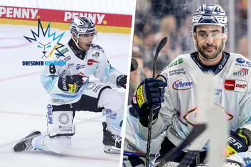 Elf Spieler verlassen die Eislöwen! Gelingt den Dresdnern trotzdem ein Coup?