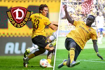Dynamo-Dresden-Blog: Zwei SGD-Profis für deutsche U20 nominiert!