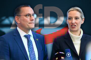 AfD gesichert rechtsextrem: Was bedeutet die neue Einstufung für Partei und Mitglieder?