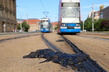 Leipzig: "Jetzt brauchen wir euch": LVB rufen Leipziger zur Reinigungsaktion an den Gleisen auf