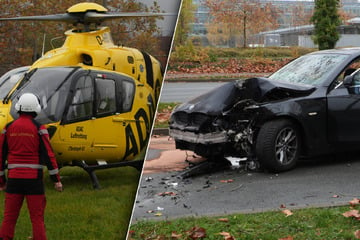 Hubschrauber, Feuerwehr, Polizei: Car rental in Leipziger Norden gegen Baum