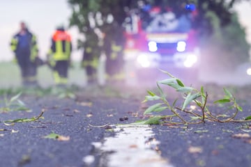Unwetter tobt über Sachsen-Anhalt: Feuerwehreinsätze, AfD-Fest abgesagt