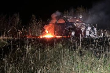 Peugeot kommt von der Straße ab, wenig später steht er in Flammen