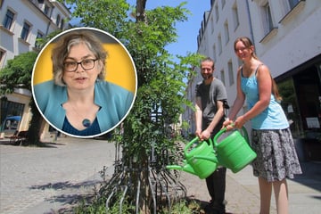 Gießkosten für Dresdens Bäume explodieren: Das ist der Grund