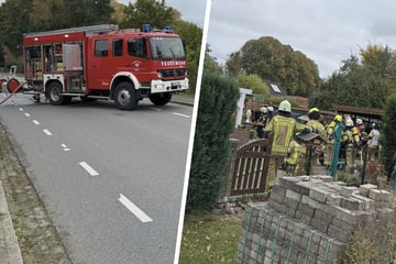 Küche brennt lichterloh: Für zwei Hunde kommt jede Hilfe zu spät