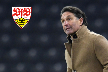 VfB Stuttgart: Bruno Labbadia als heißer Trainer-Kandidat gehandelt