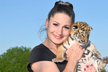 Verstoß gegen das Gesetz? Sächsische "Tiger-Queen" muss doch nicht ins Gefängnis