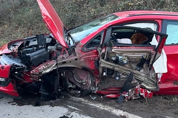 Frontal-Crash: Mutter und Sohn (7) schwer verletzt