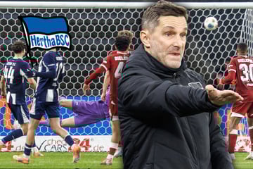 Last-Minute-Dämpfer für Hertha: Was Leitl dem Team noch auf dem Rasen sagte