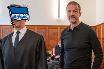 Teure Einigung in Sicht: So viel müsste Hertha Bobic zahlen