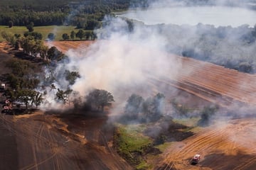 Feldbrand bei Meißen, so groß wie 59 Fußballfelder, greift auf Wald über