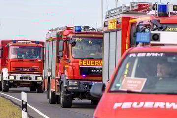 Feuer zerstört Bauernhaus und Stall: Eigentümer in letzter Sekunde gerettet