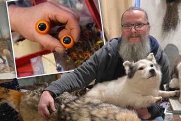 Blutige Kunst: Präparator schenkt geliebten Haustieren ein zweites Leben