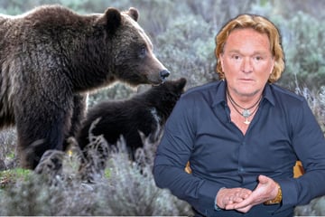 Riverboat: So wurde Andreas Kieling unbeabsichtigt zum Beschützer einer wilden Bärenfamilie