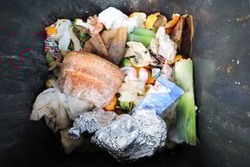 Gegen Frost und Feuchtigkeit: So bleibt die Biotonne im Winter funktionsfähig