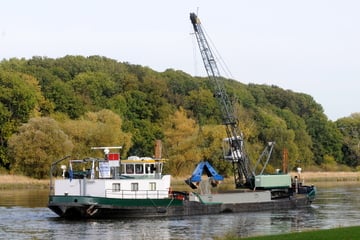 Dresden: Elbe vertiefen? Das sagen Sachsens Verkehrs- und Umweltminister dazu