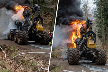 Dunkler Rauch und Mega-Sachschaden: Harvester in sächsischem Waldgebiet abgefackelt