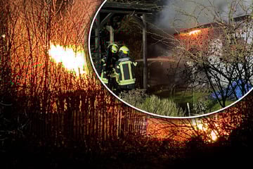 Leipzig: Gartenlaube brennt in Leipzig vollständig ab: Feuer greift auf Zaun über