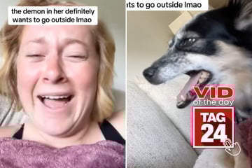 Viral Video of the Day for July 18, 2025: "Demon" dog lets out terrifying howl when asked to go outside