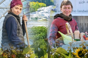 Dresden: "Dein Garten" feiert sein zehnjähriges Jubiläum – wir werfen einen Blick hinter die Kulissen!