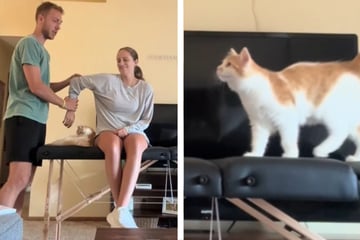 Paar nimmt Präsentation auf, dann macht ihre Katze einen Strich durch die Rechnung