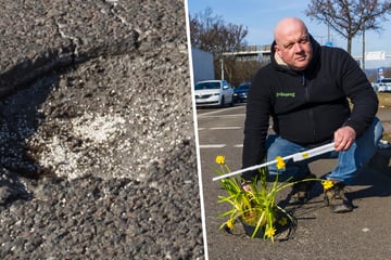 Dresden: Bislang keine Reparatur: Schlagloch "Fred" feiert Geburtstag