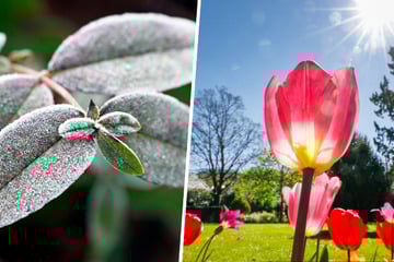 Frost in NRW möglich: So lautet die Wetter-Prognose für die nächsten Tage