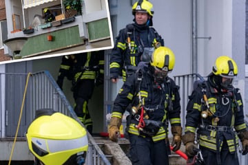 Leipzig: Verheerender Brand in Leipzig: Ein Hund stirbt, ein weiterer kann gerettet werden