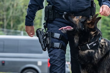 Polizist in Düsseldorf attackiert: Diensthund muss einschreiten